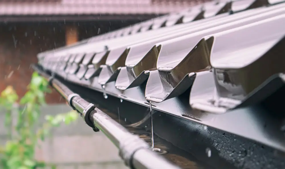 Downspouts vs. Rain Chains Which Drainage Solution Is Right for You