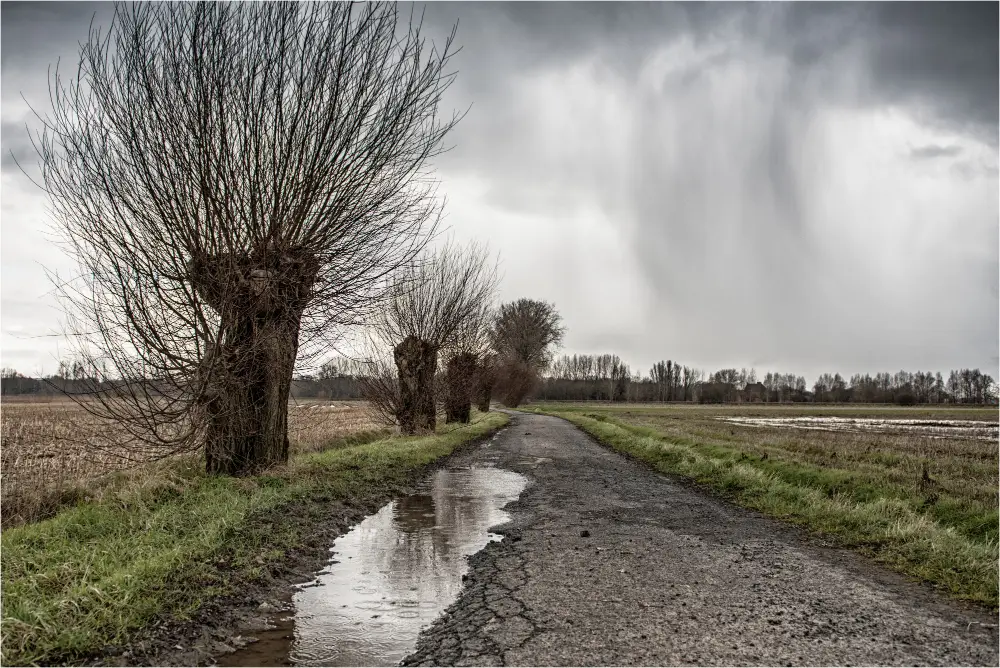 How Heavy Rainfall Impacts North Georgia Dirt Roads