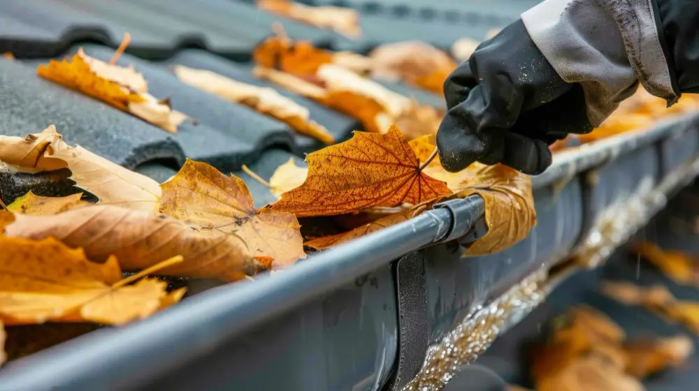 How to Clean Gutters Safely