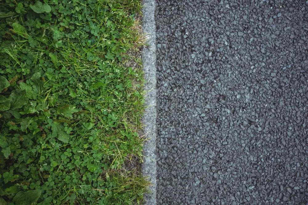 Property Grading vs. Landscaping What's the Difference & Which Do You Need